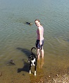 Hunde am See